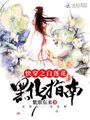 反派渣浪贱:黑化吧,圣母