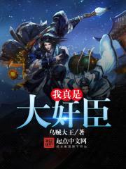我真是大jian臣