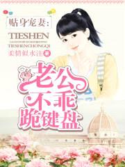 贴身宠妻:老公不乖跪键盘