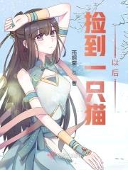 捡到一只猫以后