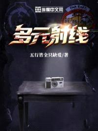 多元射线：第一阶段