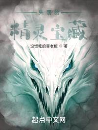 失落的精灵宝藏