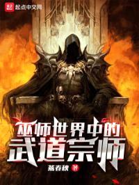 巫师世界中的武道宗师
