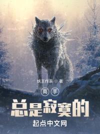 高手总是寂寞的