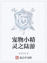 宠物小精灵之陆游