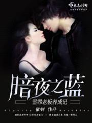 暗夜之蓝:雪霏老板养成记